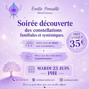 soiree-decouverte-constellations-familiales-systemiques-emilie-ponsaille